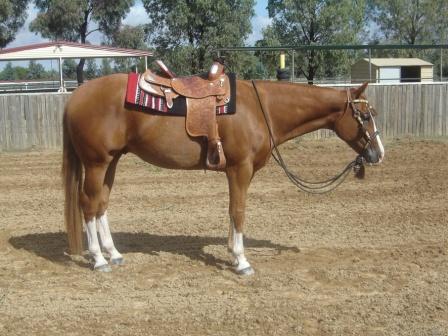 Stylish With Chrome ROM Halter